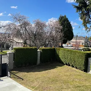 Adorable 2-bedroom Basement In Apartment Vancouver
